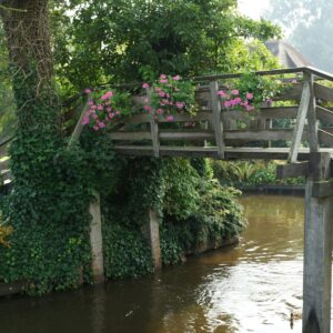 Luxe VIP Tour - 4 uur